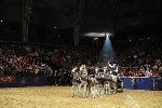 Extreme - 00938